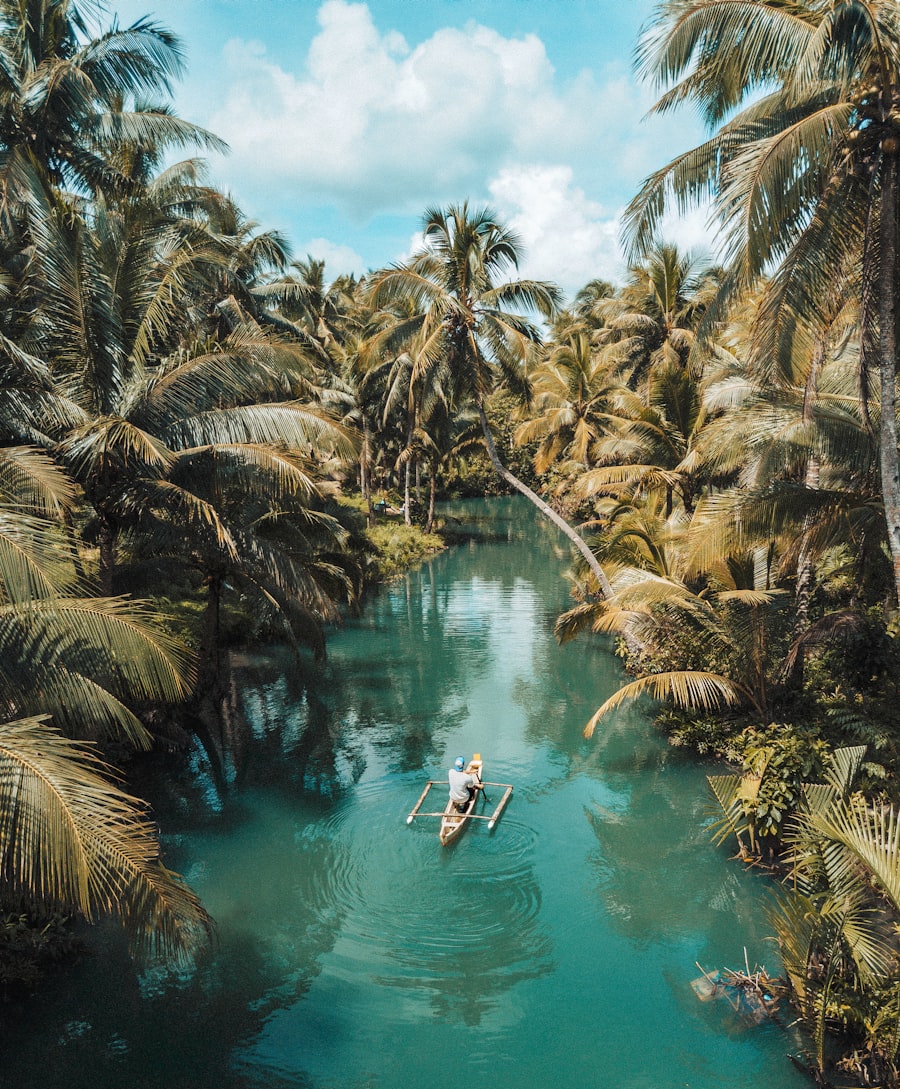 Palm-lined river in Jamaica