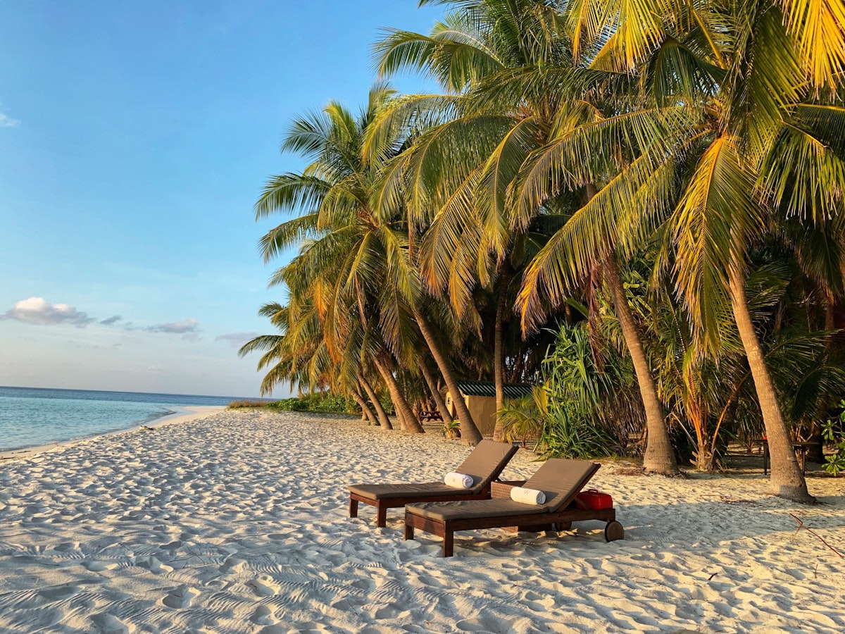 Palms and loungers on white sand at Sunny Palace Turtle Cay